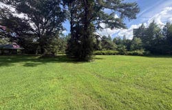 80 Coal Ridge Road, Sardis City, AL 35956