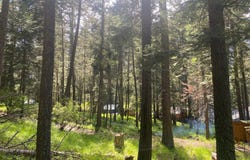 Tram Ln, WallowaLake, OR 97846