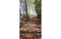 30 Lacy Fern Ridge, Sylva, NC 28779