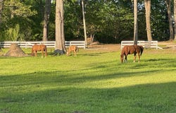 1617 Pleasant Valley Road, Rainbow City, AL 35906