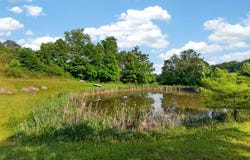 1078 Dickerson Rd., Willis, VA 24380