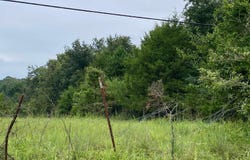 TBD Wildwood Trail, Ozark, AR 72949