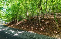 50 Cedar Drive, Mills River, NC 28759