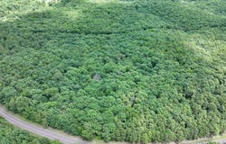 Forest Service Road, Birch Tree, MO 65438