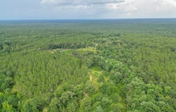 209 Tower Road, Wiggins, MS 39577