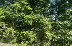 9999 Hwy 2004, McKee, KY 40447