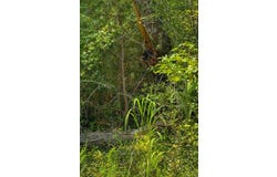 0 Smith Road, Winfield, AL 35594