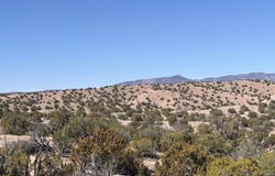 Abbe Springs lot: 124, Magdalena, NM 87825