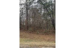 207 Forest Pointe Drive, Forsyth, GA 31029