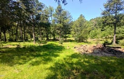 Crane Road, Lakeville, PA 18438