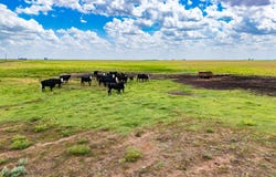 000 N 220 Rd-80 acers, Frederick, OK 73542