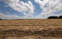 Diane Kay Way lot: 32, Merrimac, WI 53561