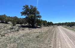 Buena Vista Road, Tierra Amarilla, NM 87575