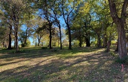 0 Shady Shores Dr, Mabank, TX 75156