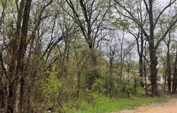 246 4th Street, Cooper, TX 75432