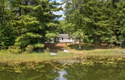 4710 Lakeside Drive, Brethren, MI 49686