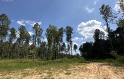 Highway 469, Florence, MS 39073