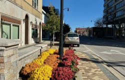 710 Lee Street, Des Plaines, IL 60016