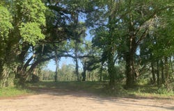 Ben Bostick, Quincy, FL 32351