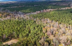 407 COUNTY ROAD 258, FIVE POINTS, AL 36855