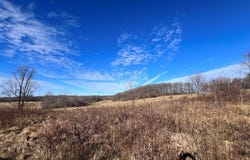Tbd Partridge Circle Lots 15 & 16, Fancy Gap, VA 24328