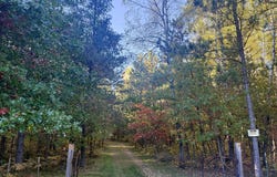 80083 Whispering Pines Lane, Willow River, MN 55795