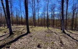 1919 N Blue Water Court, Suttons Bay, MI 49682