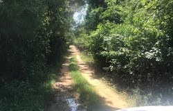 5960 Highway 3, Barnwell, SC 29812