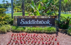 29903 BAYWOOD LANE, WESLEY CHAPEL, FL 33543
