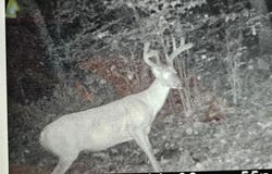 Xxx Oak Point Road NW, Cass Lake, MN 56633