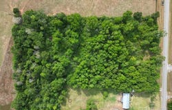 Parcel B 2000 Molino Rd, Molino, FL 32577