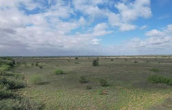 237.5 acres Cottle County, Paducah, TX 79248