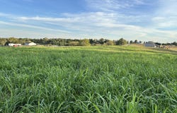 Tract #1 Mt Eden Road, Waddy, KY 40076