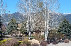 Heron Road lot: 79, Eureka, MT 59917