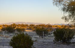 2602 S SD #26 SD #76 FD Forest, Bouse, AZ 85325