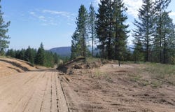 Lot 4 Moose Ridge Way, Loon Lake, WA 99148