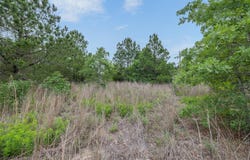 TBD Lot 20c County Rd, Bastrop, TX 78602