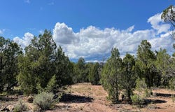 232 Rawhide Road, Durango, CO 81303