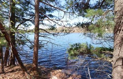 Lot WITCHES LAKE RD, Arbor Vitae, WI 54568