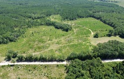 Louella Road, Mc Intosh, AL 36553