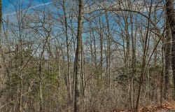 82-85 Waterdance Drive, Tuckasegee, NC 28783