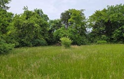 Tbd Boatmans Mountain Road, Morristown, TN 37814