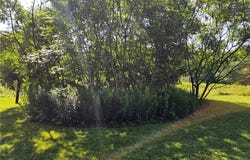 1493 Flanigan Road, Hinsdale, NY 14743