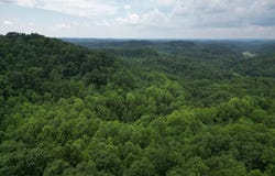 912-369 Upper Raccoon Creek Rd, London, KY 40741