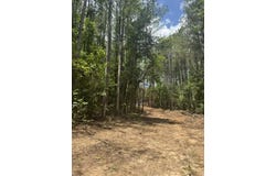 SE State Line Road, Tremont, MS 38876