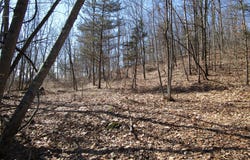 Co Rt 12, New Hampton, NY 10958