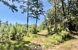 Rounsaville Church Road, Coffeeville, MS 38922