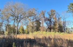 0 Locust Hill Road, Greenwood, LA 71033
