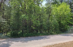 Helen Drive lot: #31, Grayling, MI 49738