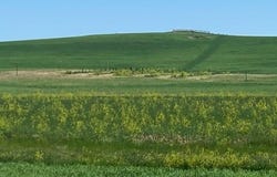 16547 Highway 79, Newell, SD 57760